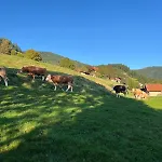 Bachnixe 1 *