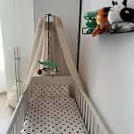 Bachnixe 1 *