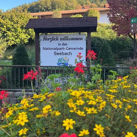 Bachnixe 1 Appartamento Seebach