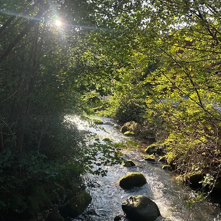 Bachnixe 1 Seebach