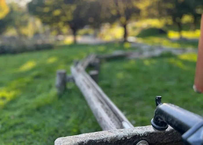 Bachnixe 1 Appartement Seebach